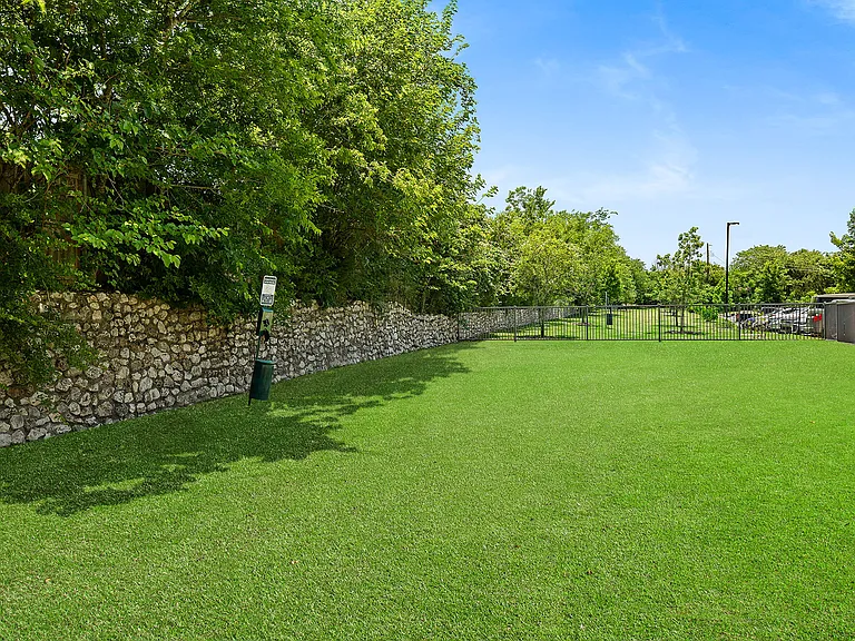 Dog Park