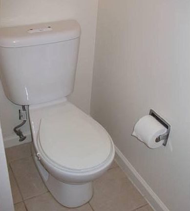 Dual Flush Toilet