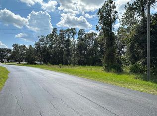 8319 Spring Forest Ln #50, Wesley Chapel, FL 33544