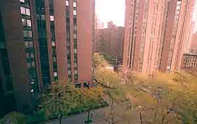 Rented by Citi Habitats