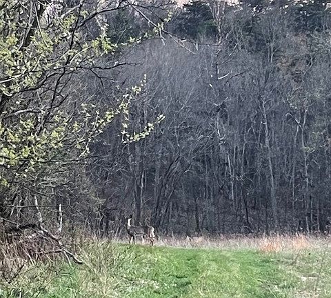 3rd image of 0 Monaca Rd