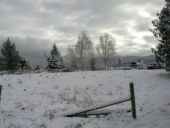 pasture