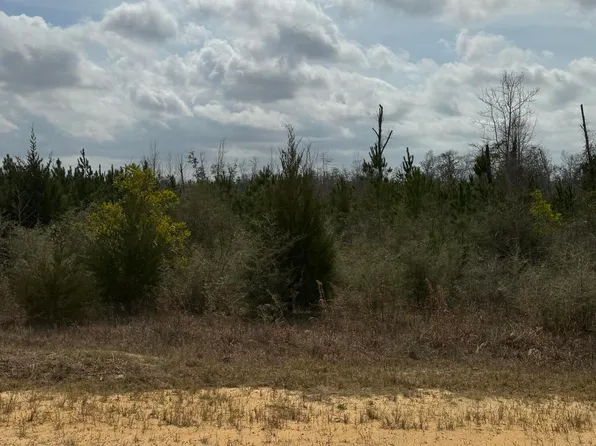 0 County Line Rd, Fountain, FL 32438