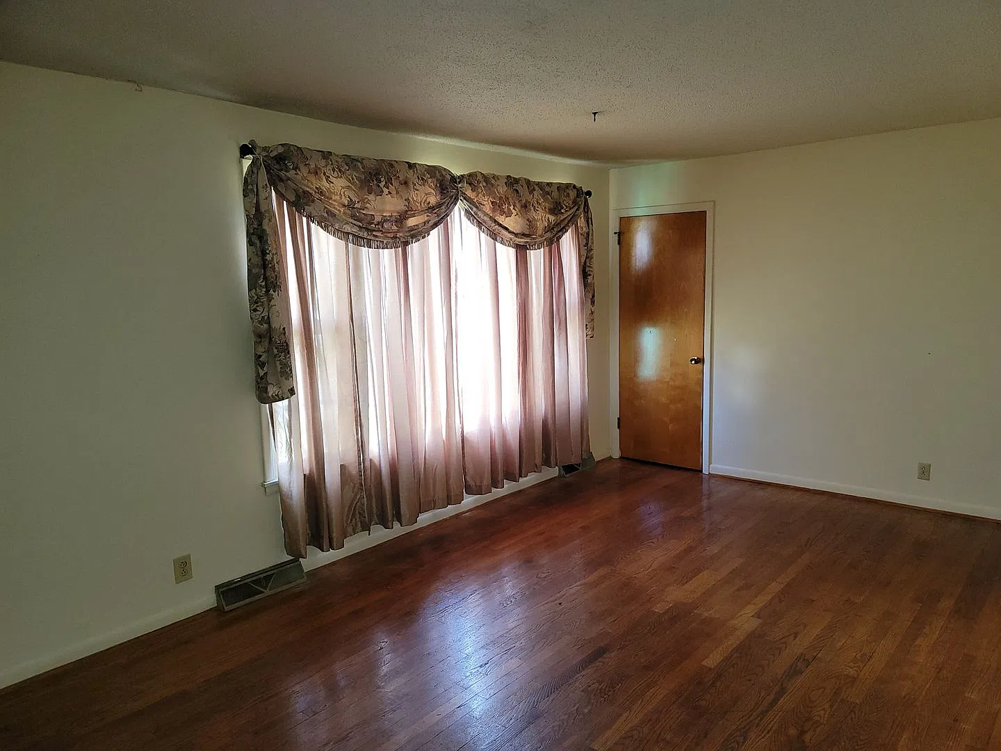 Charming walkout basement ranch home with 3 BR / 2 BA. — Photo 4