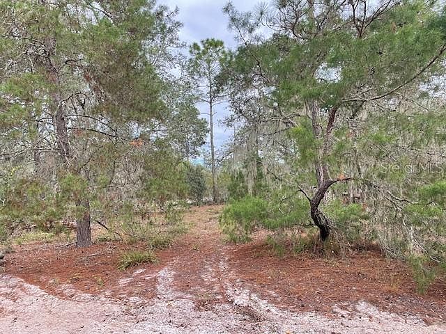 1st image of Bailey Palm Dr