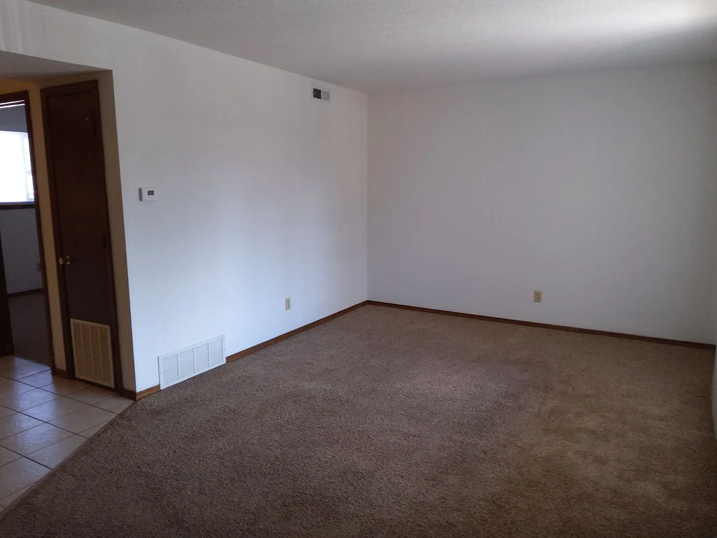 Boxwood 535 — Photo 2