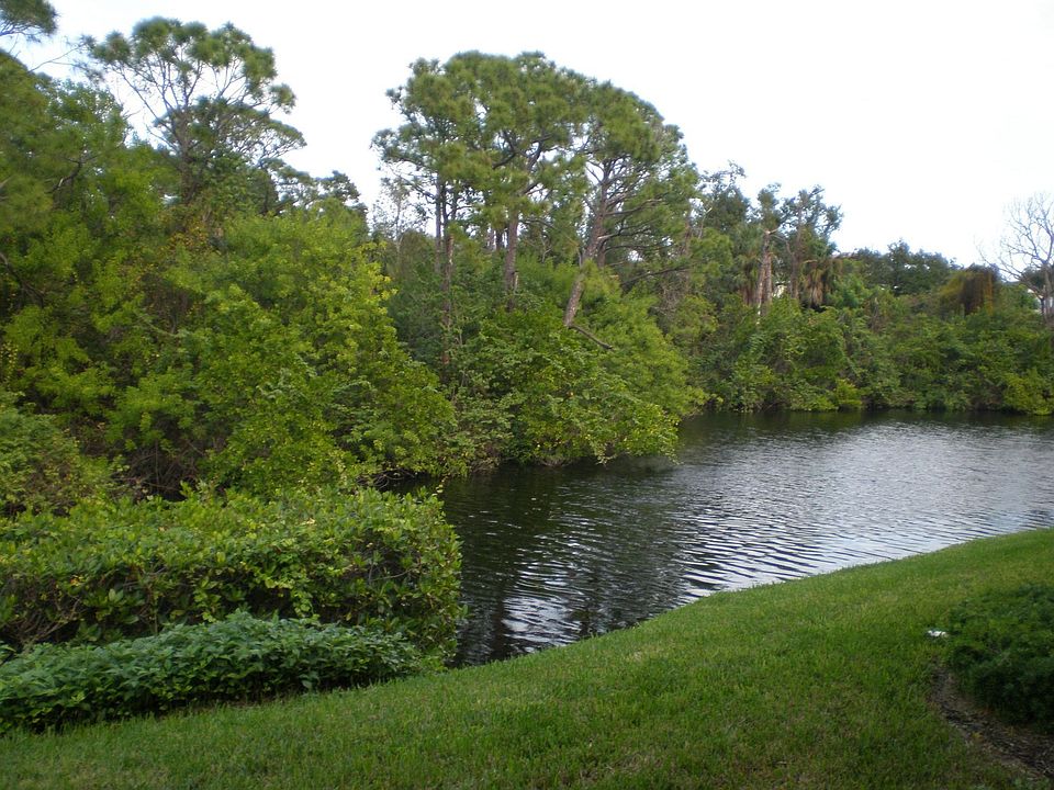 View from back patio.