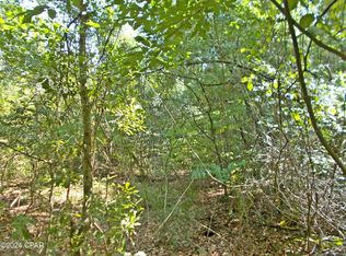 Oo Mingo Ln, Cottondale, FL 32431