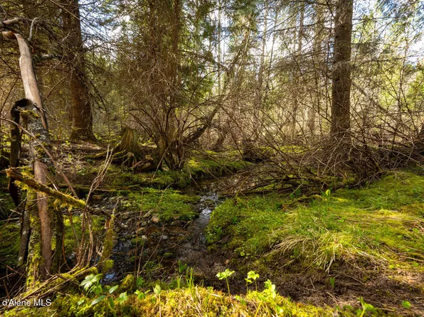Nka Evans Creek Rd, Medimont, ID 83842