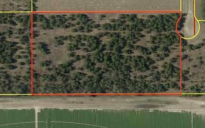 1st image of NE Loblolly Trl