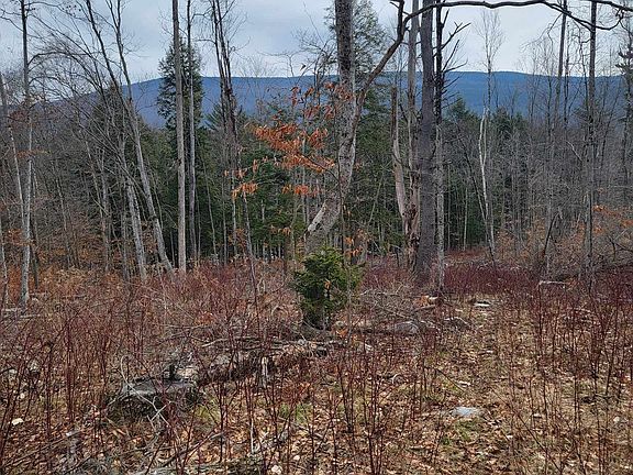 5th image of 2041 East Road