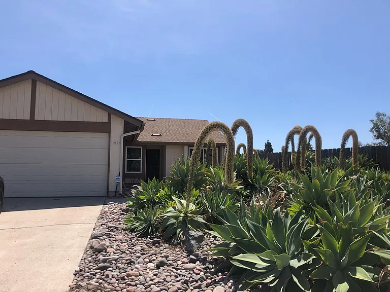 1934 El Verde Ct — Photo 6