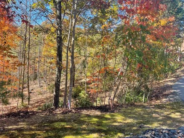 50 Ray Dr, Blairsville, GA 30512