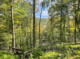 Carcass Brook Spur, Hancock, NY 13783