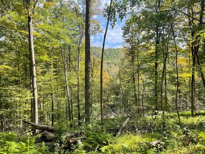 Carcass Brook Spur, Hancock, NY, 13783