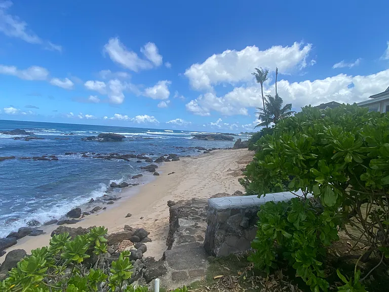 61-313 Kamehameha Hwy — Photo 23