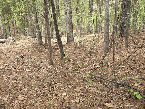 3rd image of 2093 Lometa Rd