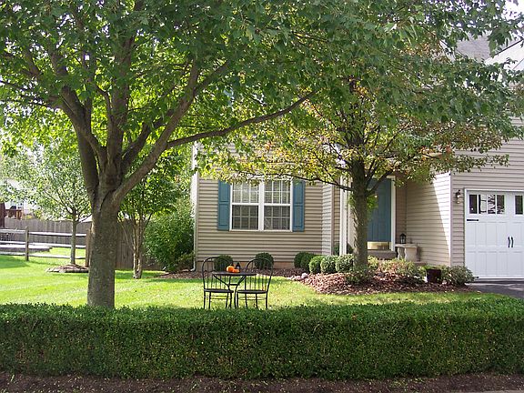 Shade trees in front