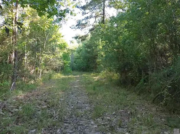 46310 Rufus Bankston Rd, Hammond, LA 70401