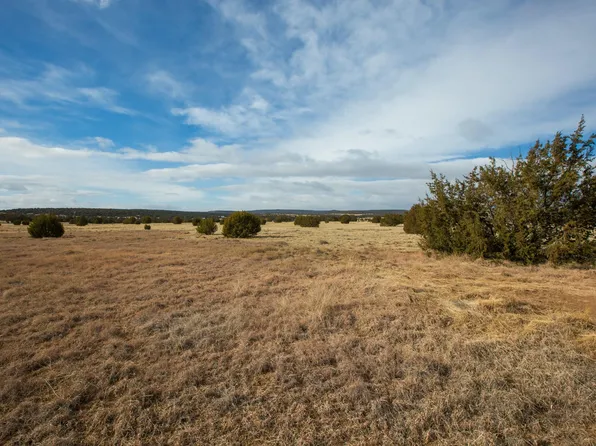 Bushnell, Edgewood, NM 87015