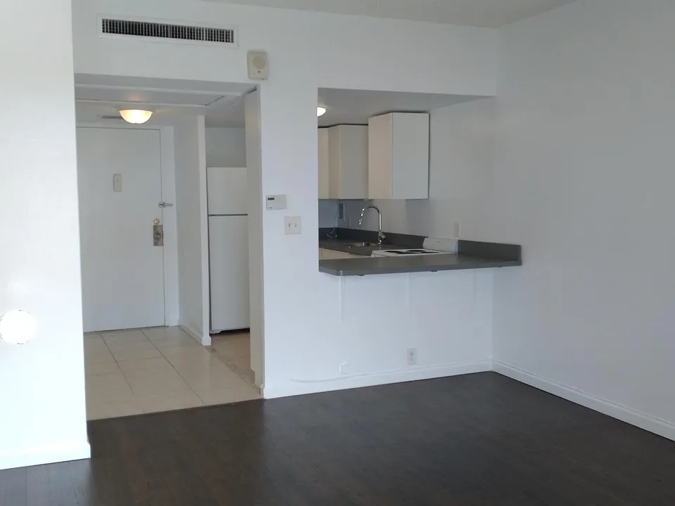 Living/Bedroom looking into kitchen from balcony