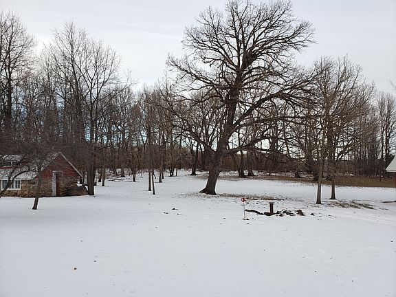 Backyard.