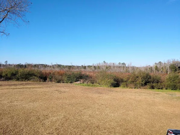 TBD Joyner Swamp Rd., Galivants Ferry, SC 29544