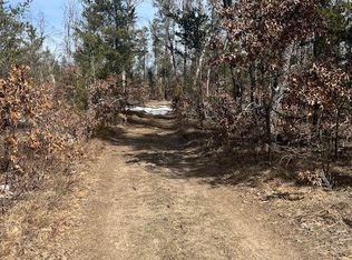 11168 W 52nd Rd, Wellston, MI 49689