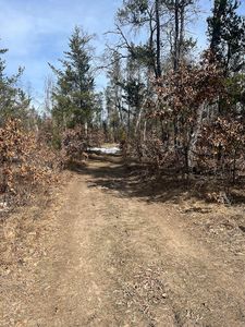 11168 W 52nd Rd, Wellston, MI, 49689