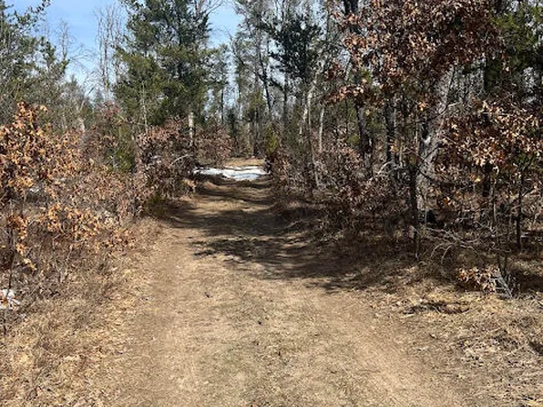 11168 W 52nd Rd, Wellston, MI 49689