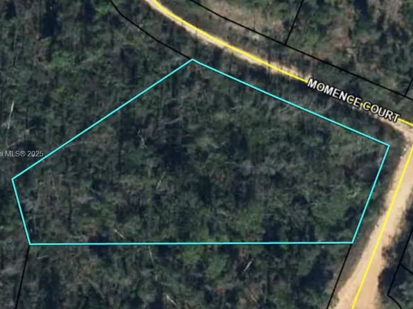 Momence Court Alford Momence Ct, Alford, FL 32420