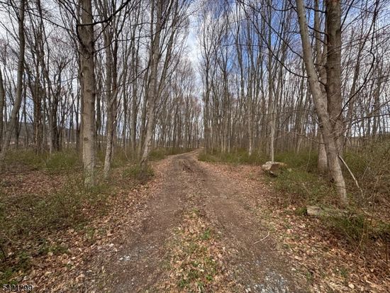 000 S 4Bridges Rd, Chester, NJ 07930