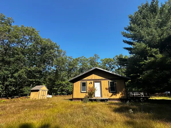 7826 N Mac Rd, Irons, MI 49644