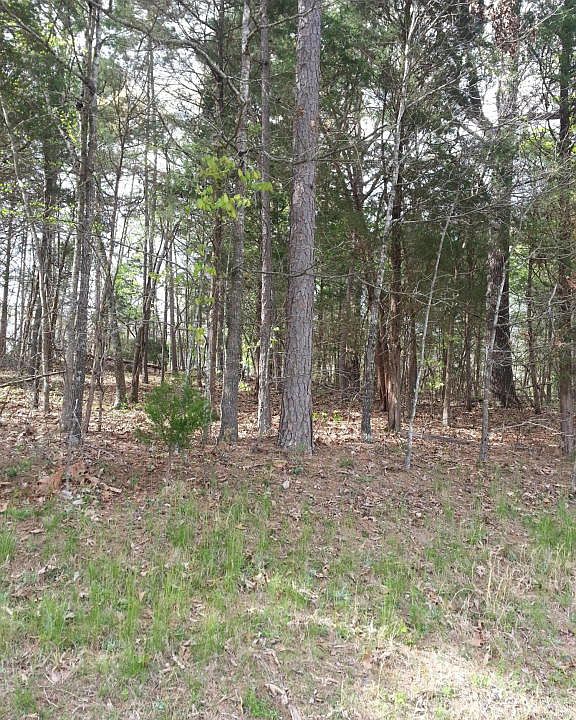 2nd image of 305 Tahlequah Dr