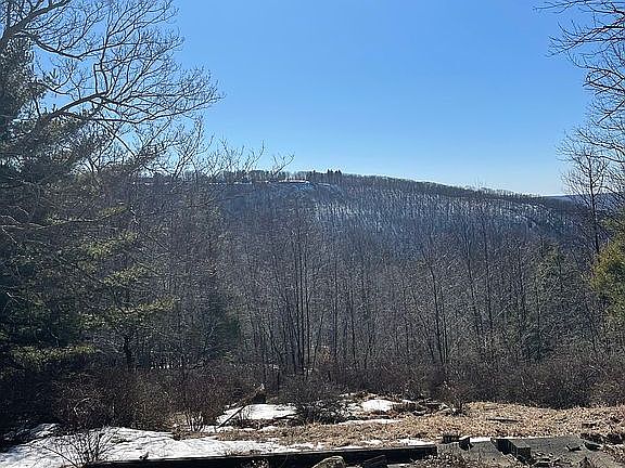 Views from Property 