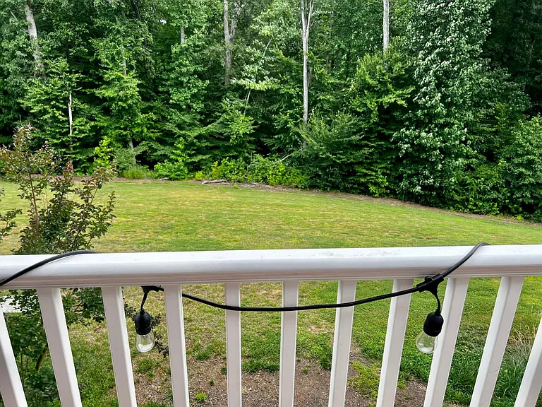 Danridge Manor Dr — Photo 11