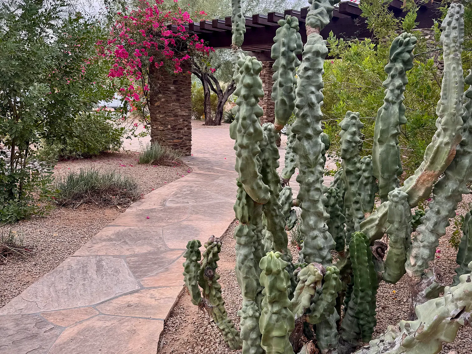 N Saint Andrews Way , Scottsdale — Photo 3