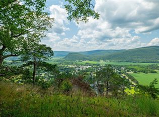 L16 Mount Path, Middleburgh, NY 12122