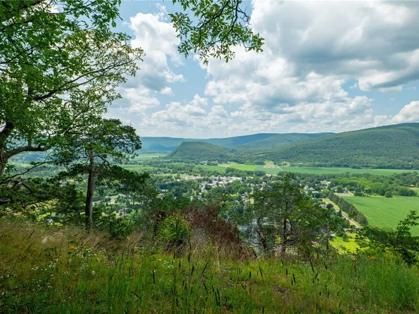 L16 Mount Path, Middleburgh, NY 12122