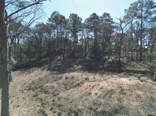 17839 & 17831 Harbor Ln, Flint, TX 75762