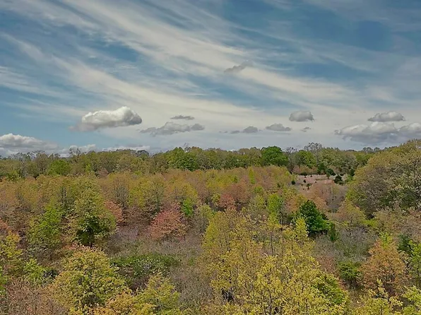 000 Hwy 76, Ava, MO 65608