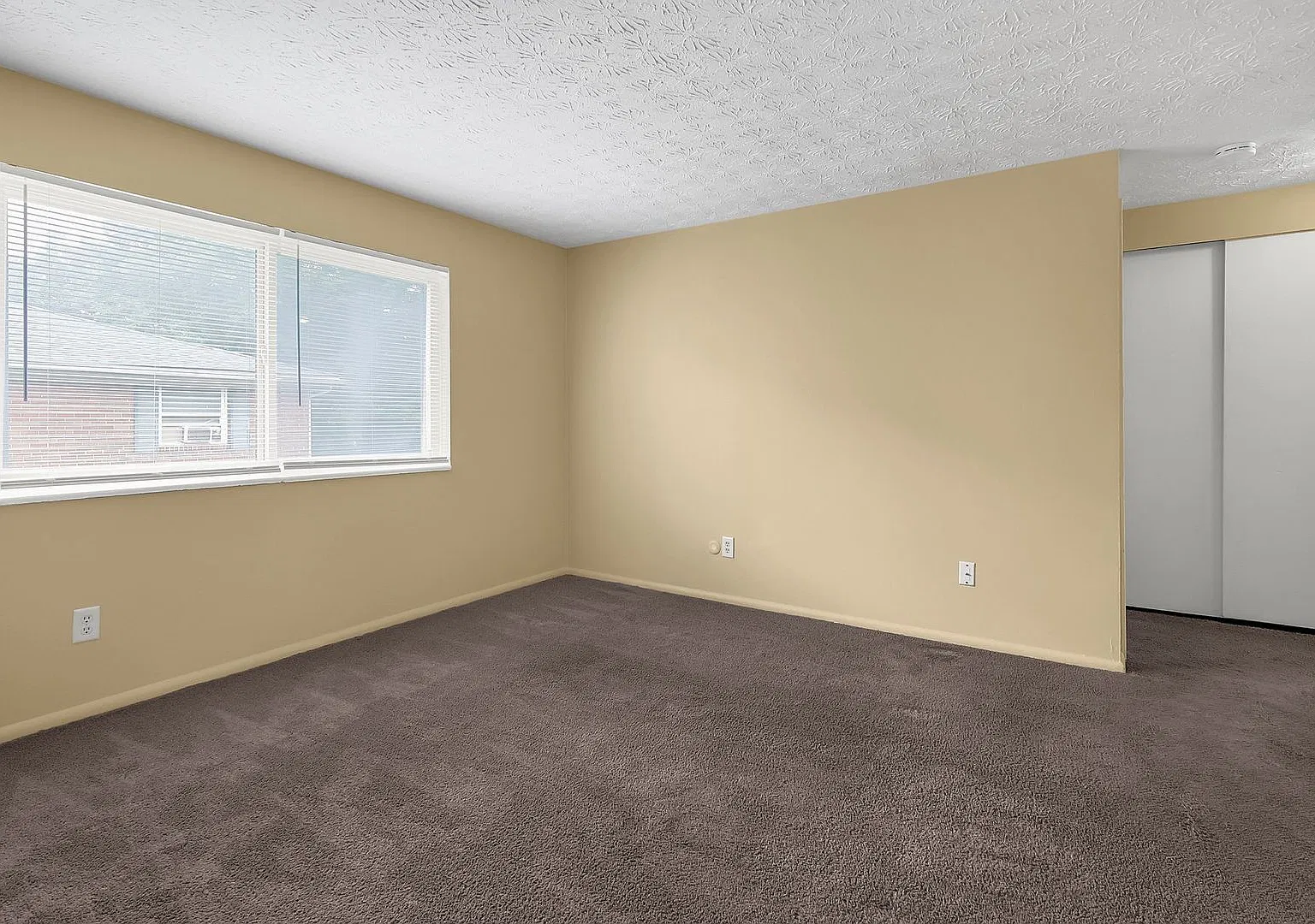 195 Currier Dr — Photo 3