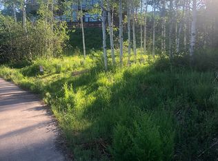 5B Alpine Dr, Steamboat Springs, CO 80487