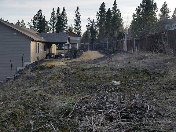4th image of 2310 S Scenic Blvd