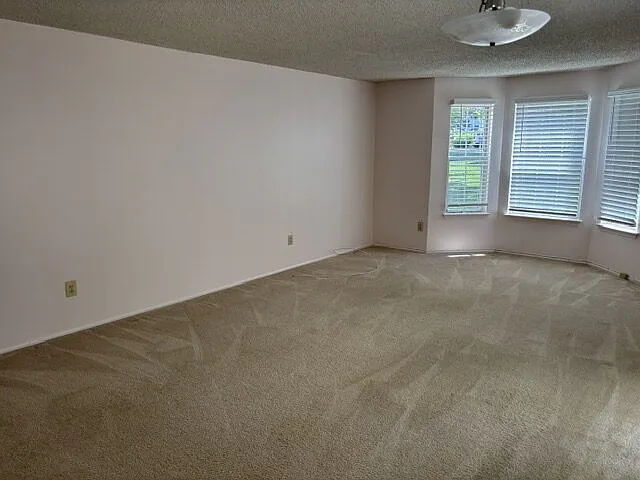 133 Tulip Ln — Photo 3