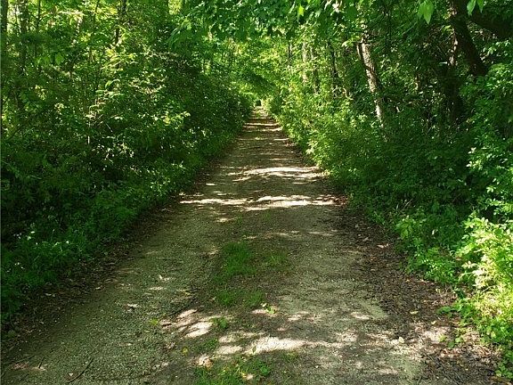 3rd image of 9186A Smart Hill Ln