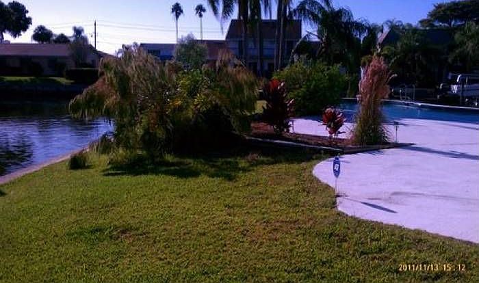 back yard