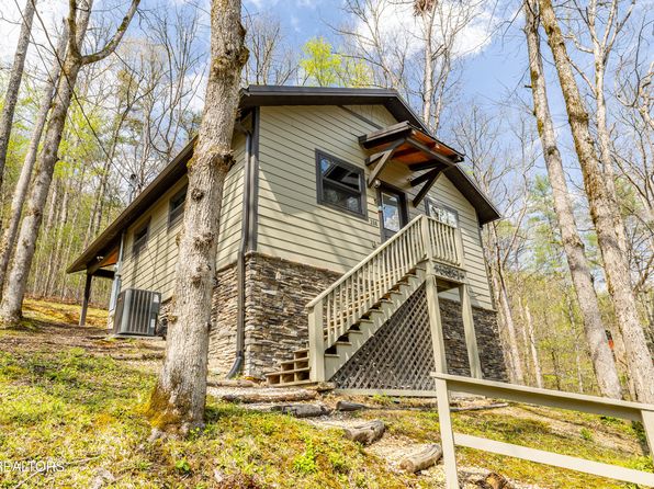 236 & 240 Long Branch Rd, Townsend, TN 37882