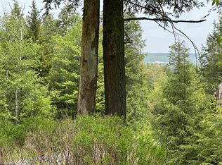 16 Casentino Ct, Davis, WV 26260