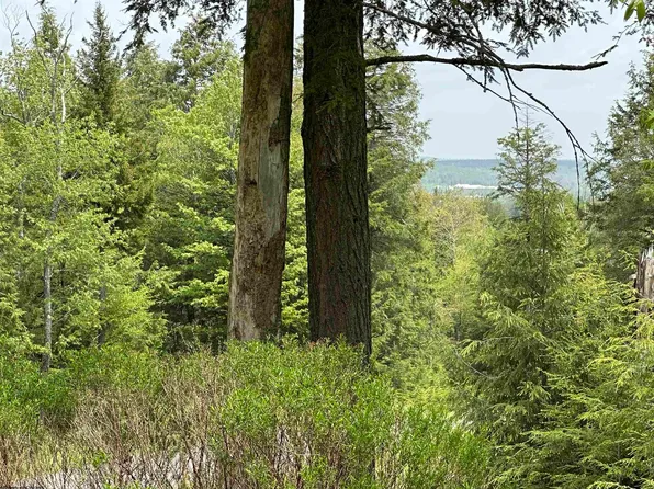 16 Casentino Ct, Davis, WV 26260